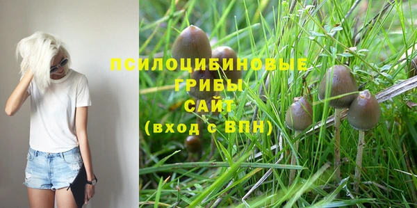 гашишное масло Новозыбков