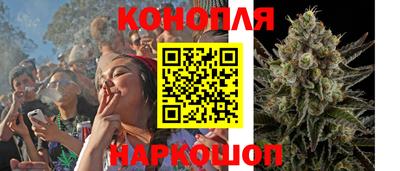 молекула духа Волжский