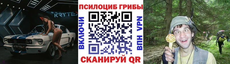 площадка какой сайт  Иваново  Галлюциногенные грибы Cubensis  купить  цена 