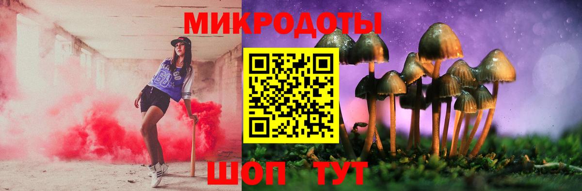 Галлюциногенные грибы Psilocybine cubensis Иваново